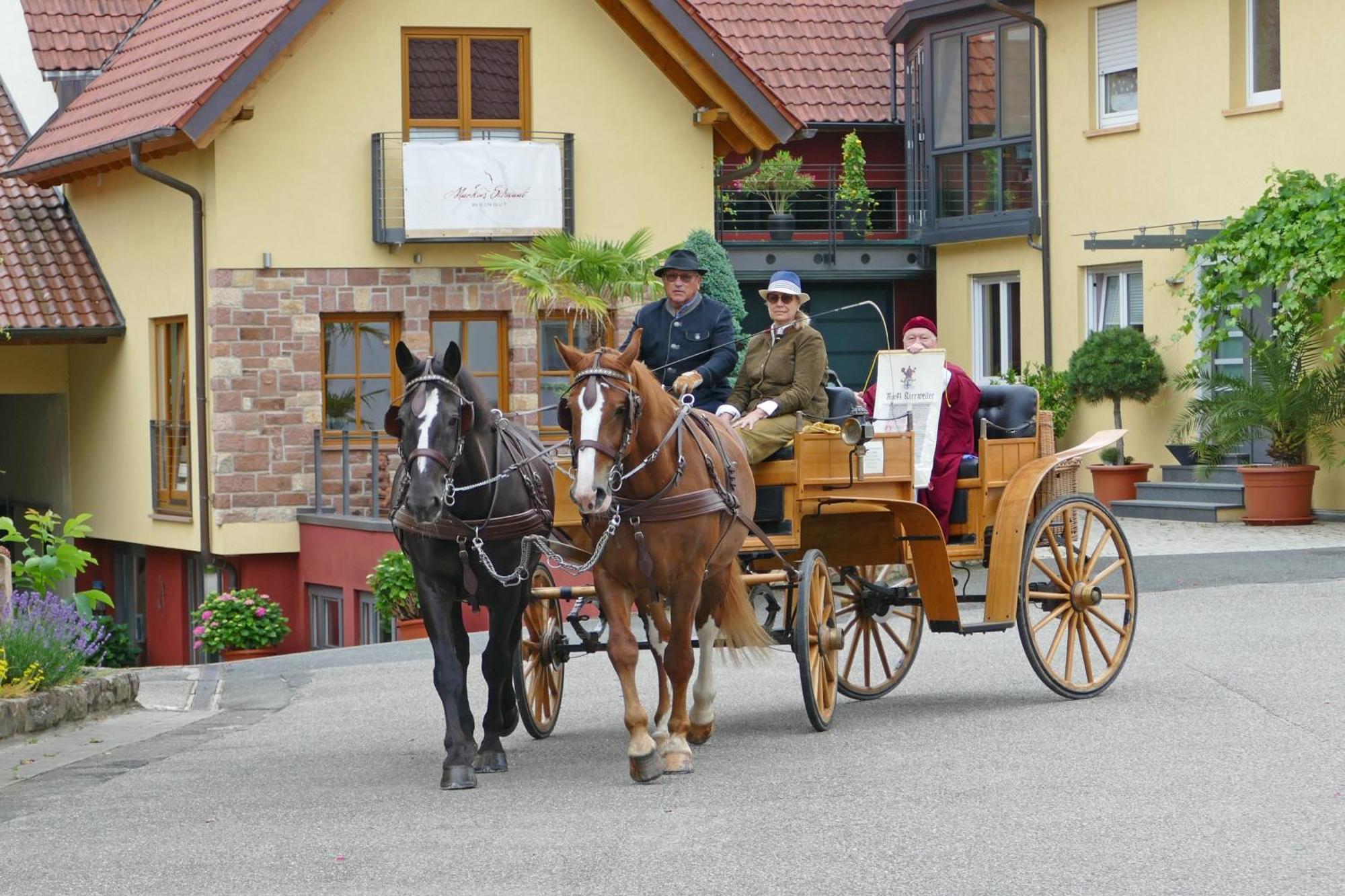 Hotel Garni Sebastian Kirrweiler  المظهر الخارجي الصورة